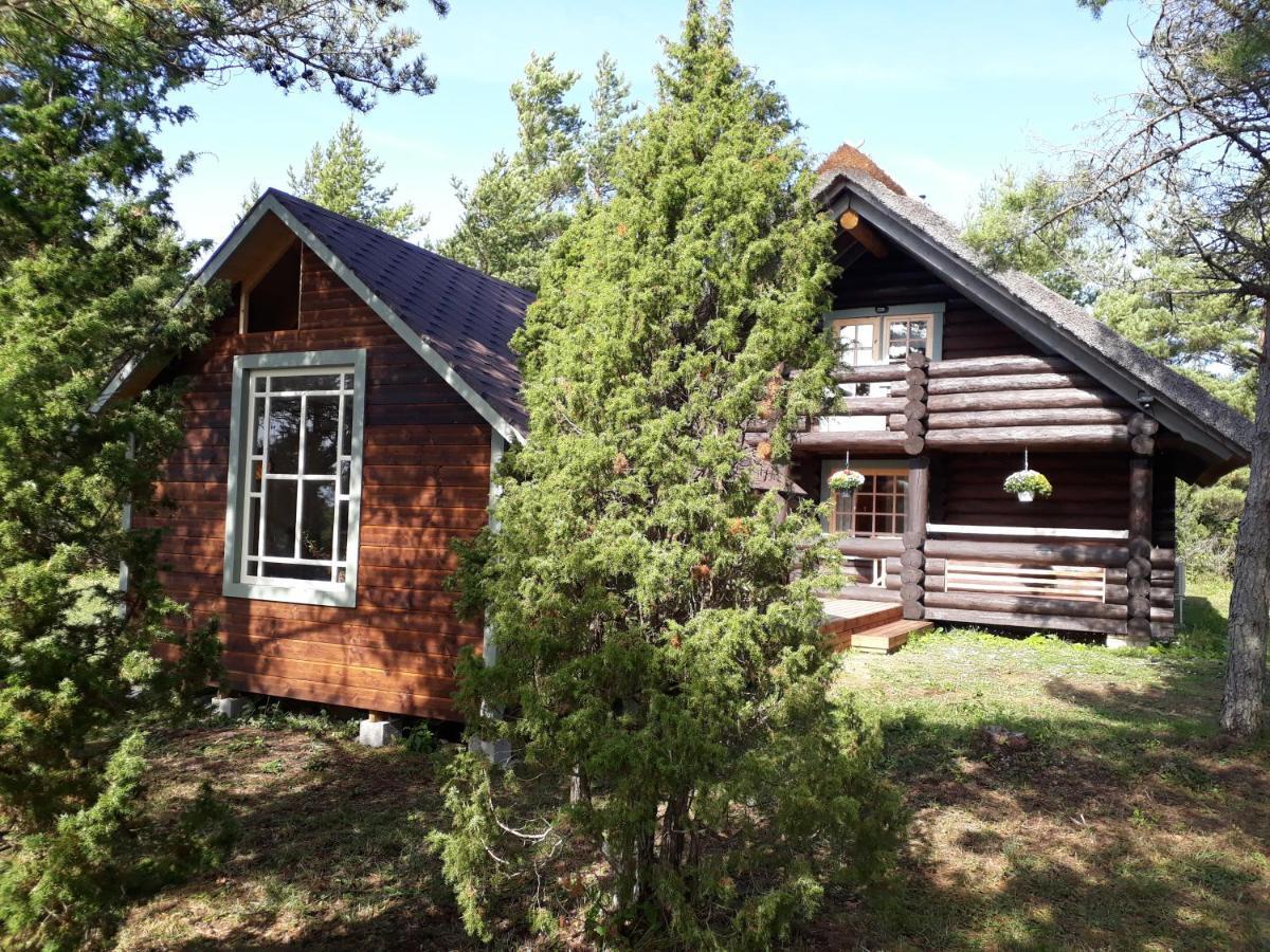 Paehkli Seaside Cottage With Cozy Outdoor Patio Koiguste Eksteriør bilde